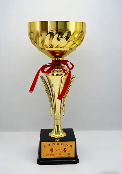 First-Place-in-Tianjin-Online-Business-Talent-Competition